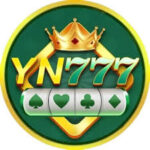 Yn777 teen Patti