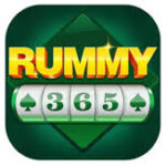 Rummy 365 APK